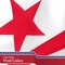 G128 Washington DC City Flag | 3x5 feet | Printed 150D Quality Polyester